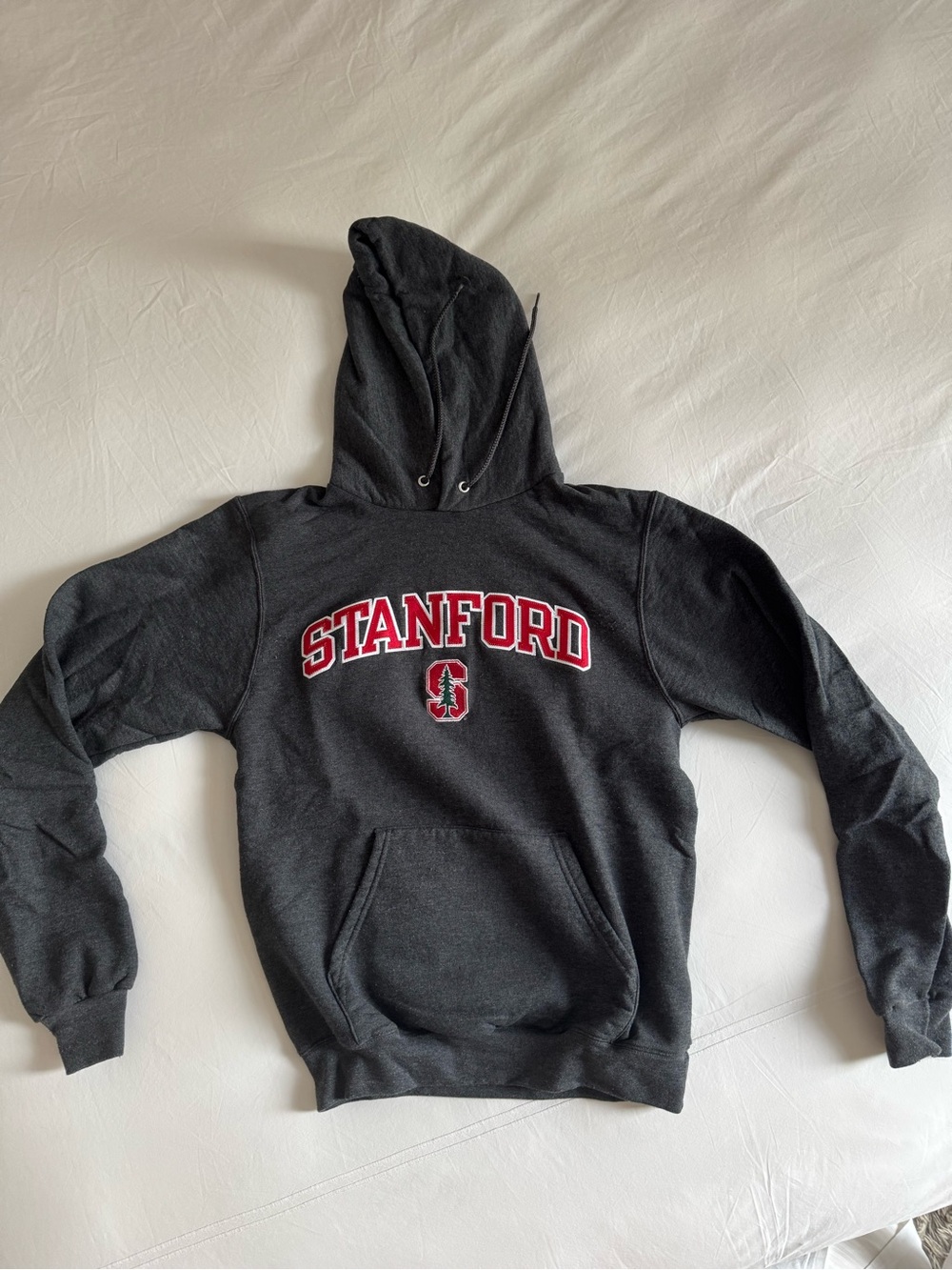 Champion Stanford Hoodie